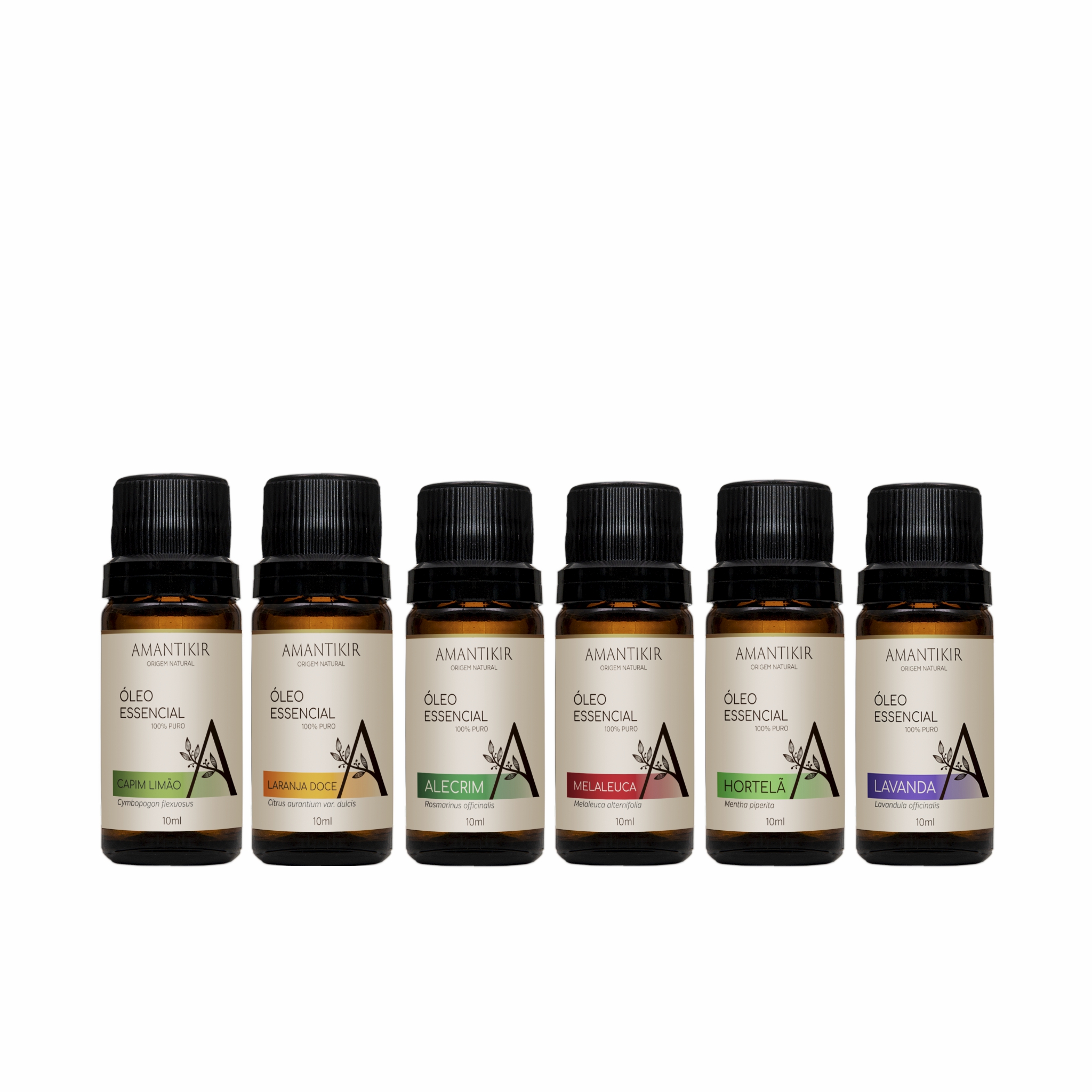 Kit Óleos Essenciais Básicos