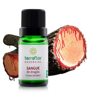 Sangue de dragão terraflor