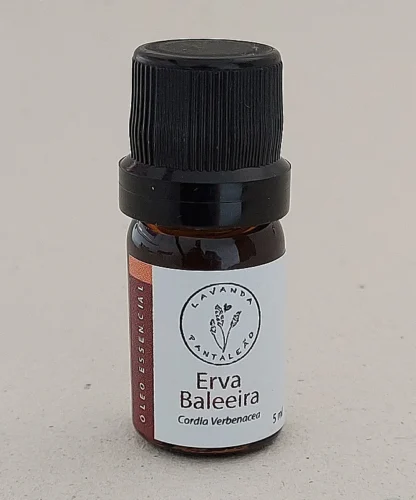Óleo Essencial Erva Baleeira 5ml